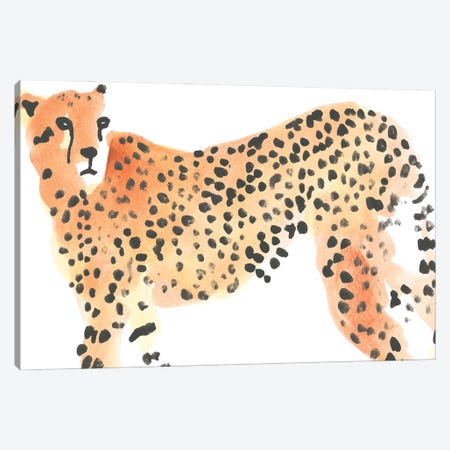 Majestic Cheetah II Canvas Print #JEV2266} by June Erica Vess Canvas Art