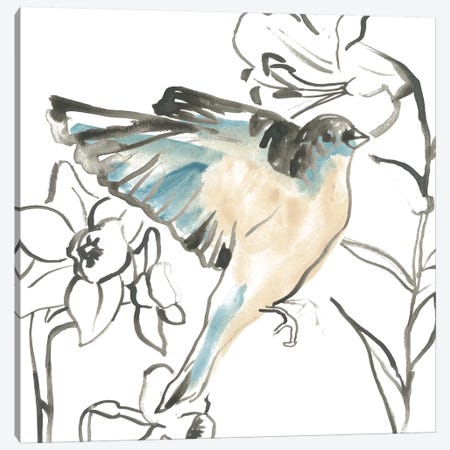 Songbird Meadow I Canvas Print #JEV2298} by June Erica Vess Canvas Artwork