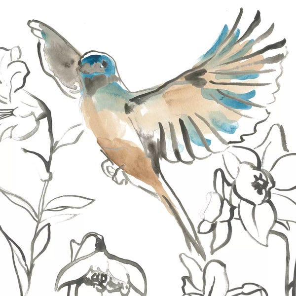 Songbird Meadow IV