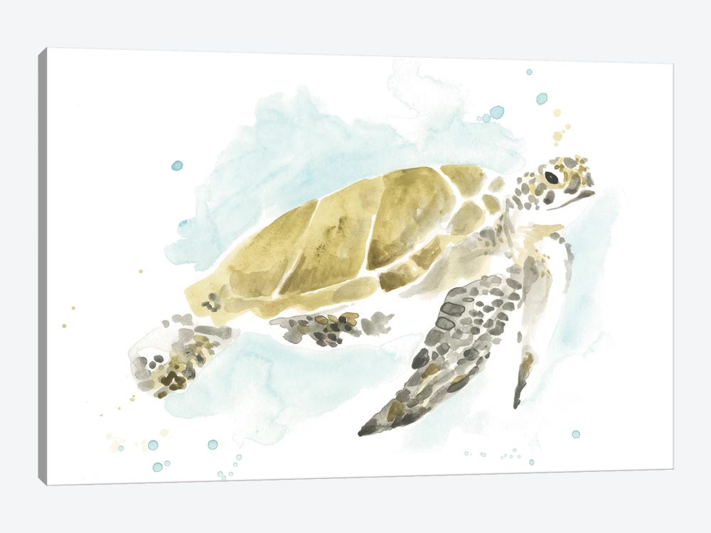 Watercolor Sea Turtle Study I Canvas Art By June Erica Vess | Icanvas