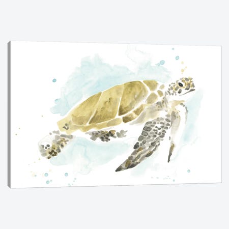 Watercolor Sea Turtle Study I Canvas Print #JEV2324} by June Erica Vess Canvas Art Print