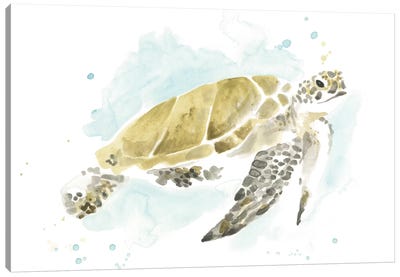 Watercolor Sea Turtle Study I Canvas Art Print - Turtle Art