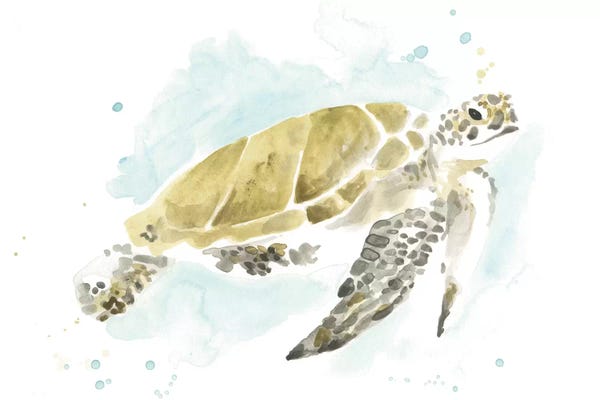 Turtles: Watercolor Sea Turtle Study I by June Erica Vess