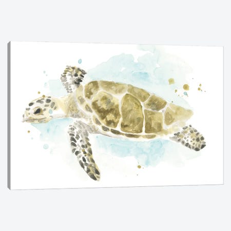 Watercolor Sea Turtle Study II Canvas Print #JEV2325} by June Erica Vess Canvas Art Print