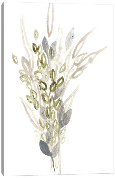 Botanica Whimsy I Canvas Art Print - June Erica Vess