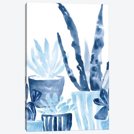 Indigo Succulent III Canvas Print #JEV2647} by June Erica Vess Canvas Artwork