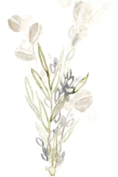 Abstract Watercolors: Botanica Whimsy II by June Erica Vess