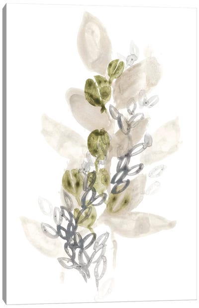 Botanica Whimsy III Canvas Art Print - June Erica Vess