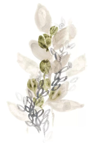 Abstract Floral & Botanical: Botanica Whimsy III by June Erica Vess