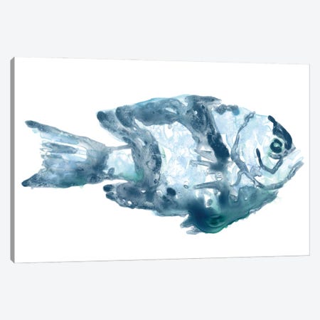 Blue Ocean Fish III Canvas Print #JEV2702} by June Erica Vess Canvas Artwork