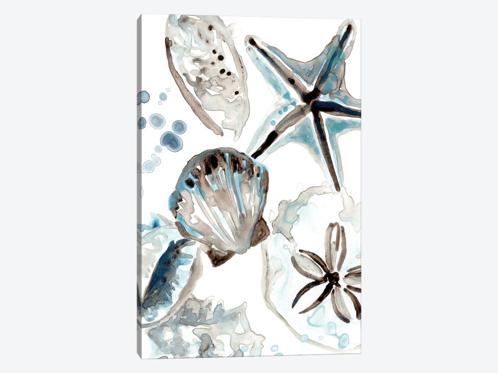 Cerulean Seashells I by June Erica Vess 1-piece Canvas Artwork