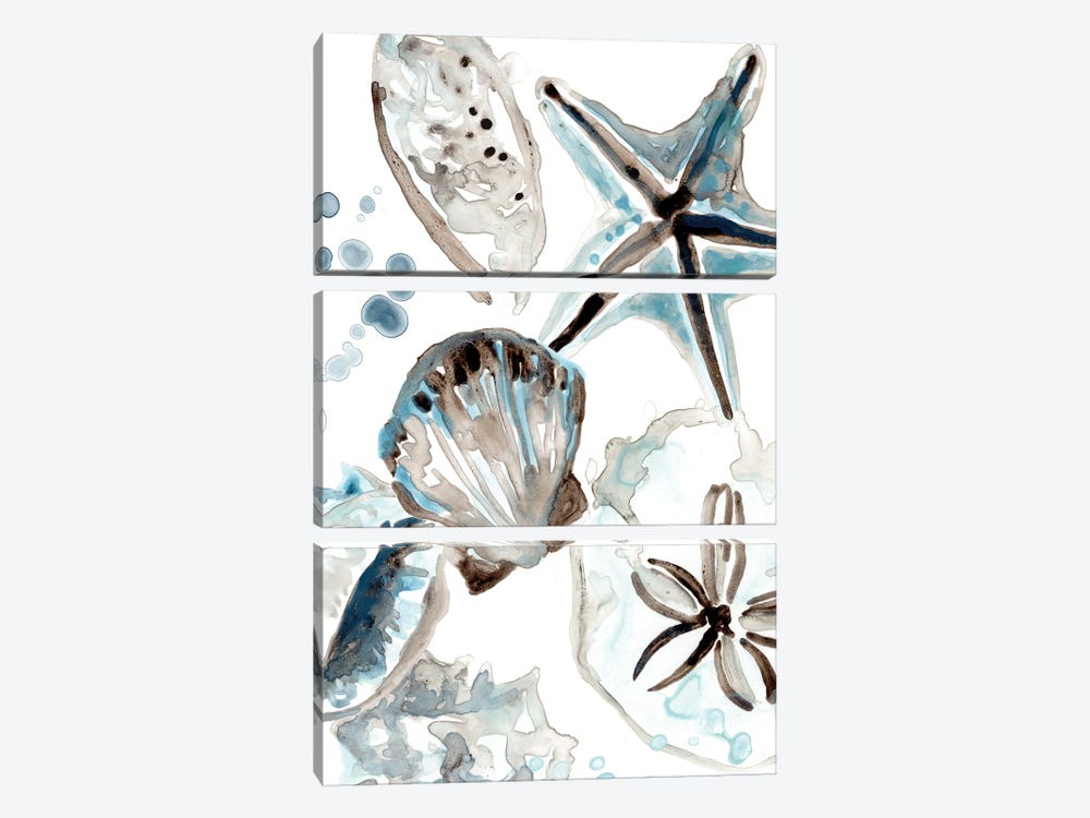 Cerulean Seashells I by June Erica Vess 3-piece Canvas Art