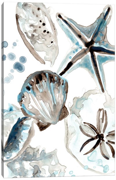 Cerulean Seashells I Canvas Art Print - Nature Close-Up Art