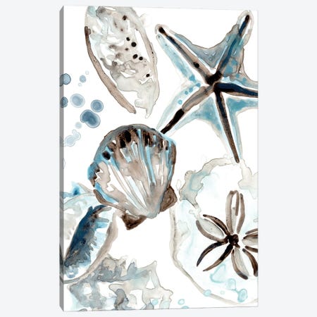 Cerulean Seashells I Canvas Print #JEV2704} by June Erica Vess Canvas Print