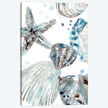 Cerulean Seashells II Canvas Print #JEV2705} by June Erica Vess Art Print