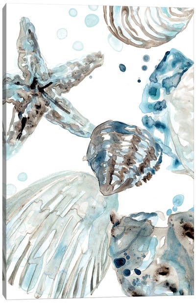 Cerulean Seashells II Canvas Art Print - Sea Life Art