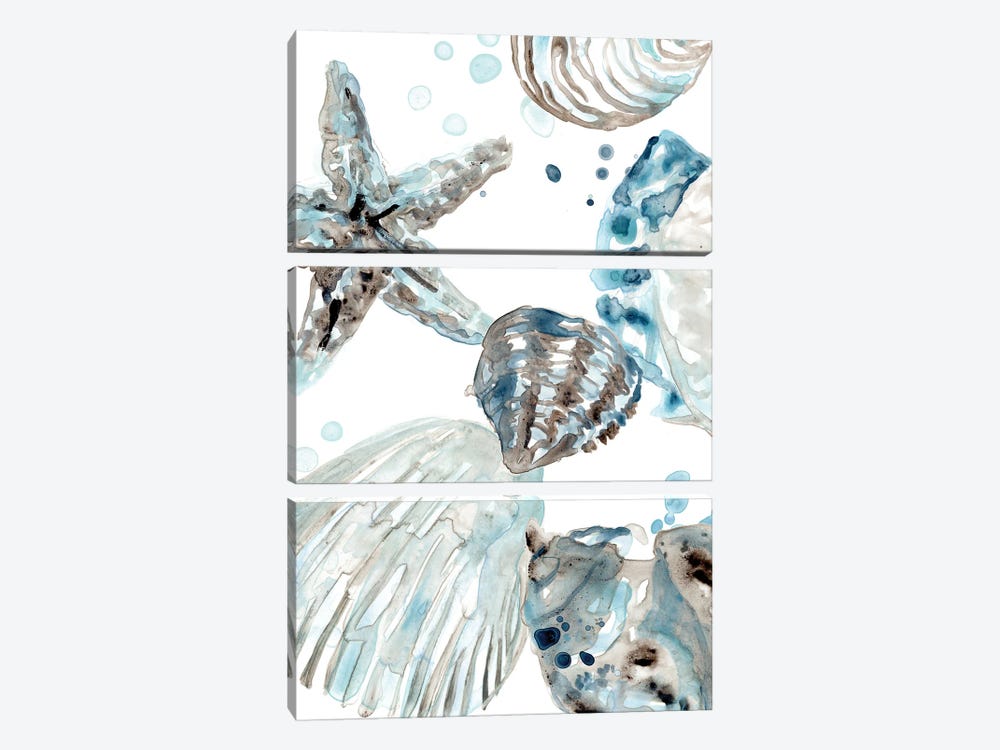 Cerulean Seashells II by June Erica Vess 3-piece Canvas Print