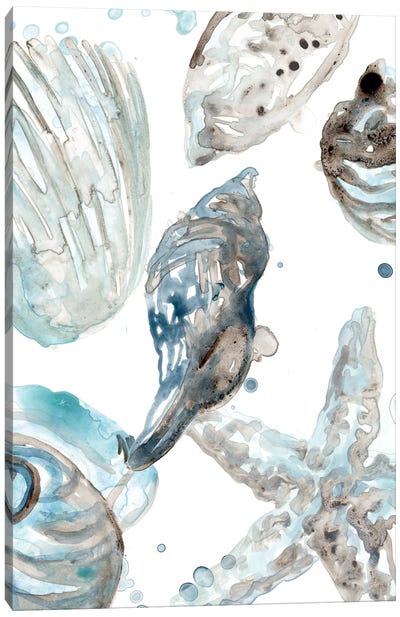 Cerulean Seashells III Canvas Art Print - Nature Close-Up Art