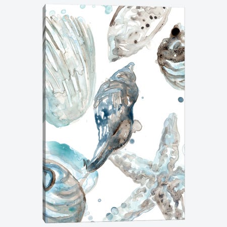 Cerulean Seashells III Canvas Print #JEV2706} by June Erica Vess Art Print
