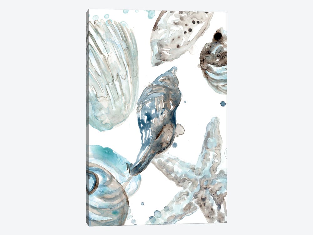 Cerulean Seashells III by June Erica Vess 1-piece Canvas Artwork