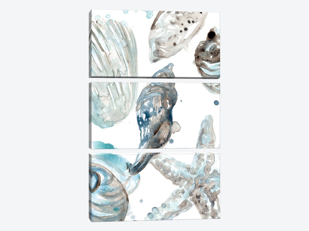 Cerulean Seashells III by June Erica Vess 3-piece Canvas Art