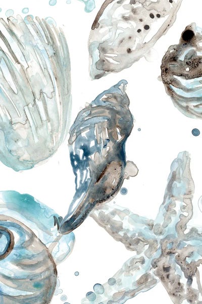 Starfish: Cerulean Seashells III by June Erica Vess