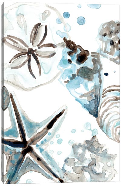Cerulean Seashells IV Canvas Art Print - Nature Close-Up Art