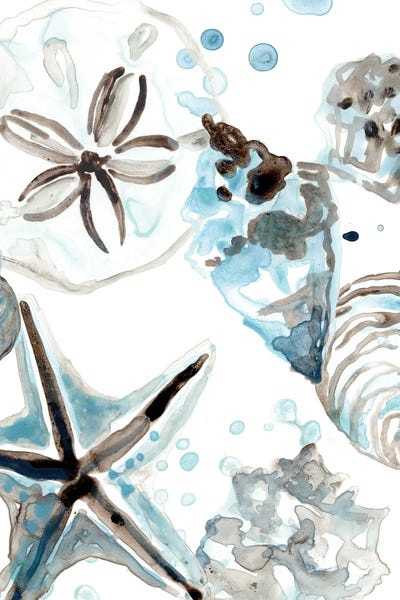 Nature Close-Ups: Cerulean Seashells IV by June Erica Vess