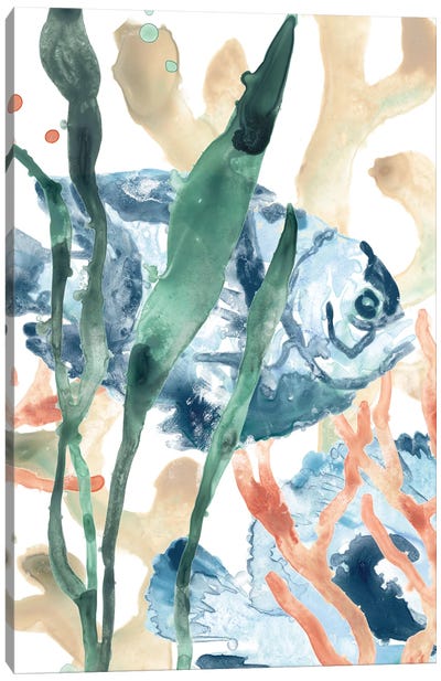 In the Kelp I Canvas Art Print - Coral Art