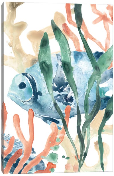 In the Kelp II Canvas Art Print - Fish Art