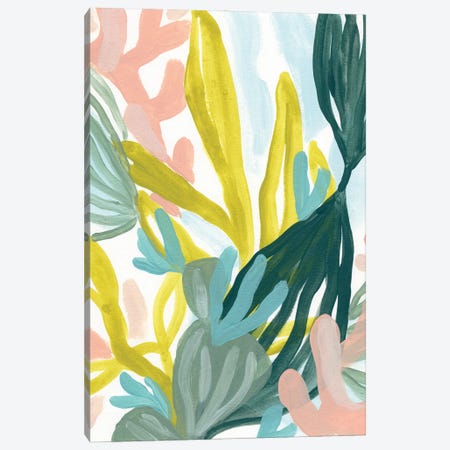 Coral Garden II Canvas Print #JEV2785} by June Erica Vess Art Print