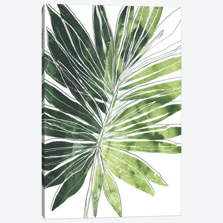 Expressive Palm I Canvas Print #JEV2801} by June Erica Vess Canvas Art Print
