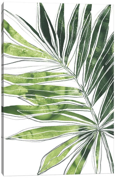 Expressive Palm IV Canvas Art Print - June Erica Vess