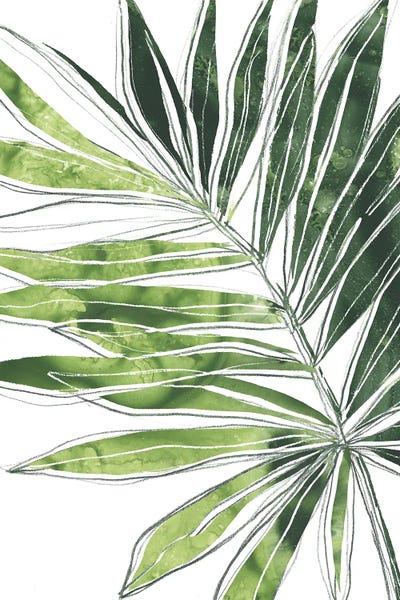 Tropical Leaves: Expressive Palm IV by June Erica Vess
