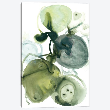 Orbital Lichen I Canvas Print #JEV2856} by June Erica Vess Canvas Art Print