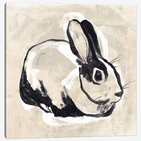 Antique Rabbit I Canvas Print #JEV2928} by June Erica Vess Canvas Artwork