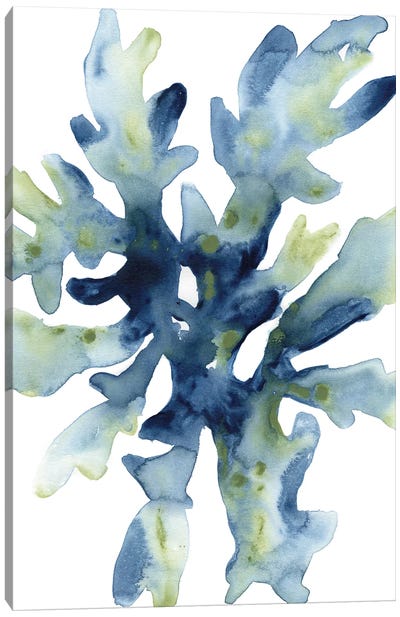 Liquid Coral IV Canvas Art Print - June Erica Vess