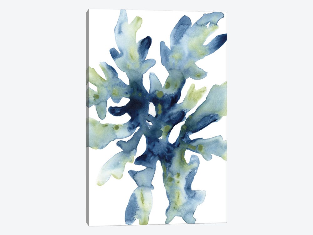 Liquid Coral IV by June Erica Vess 1-piece Canvas Art