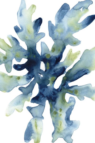 Coral: Liquid Coral IV by June Erica Vess