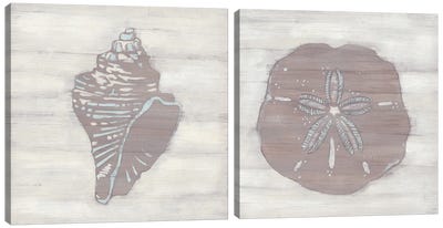 Driftwood Silhouette Diptych Canvas Art Print - Sand Dollar Art