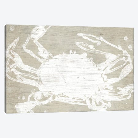 Weathered Crab II Canvas Print #JEV3049} by June Erica Vess Canvas Art