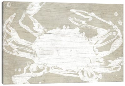 Weathered Crab II Canvas Art Print - June Erica Vess