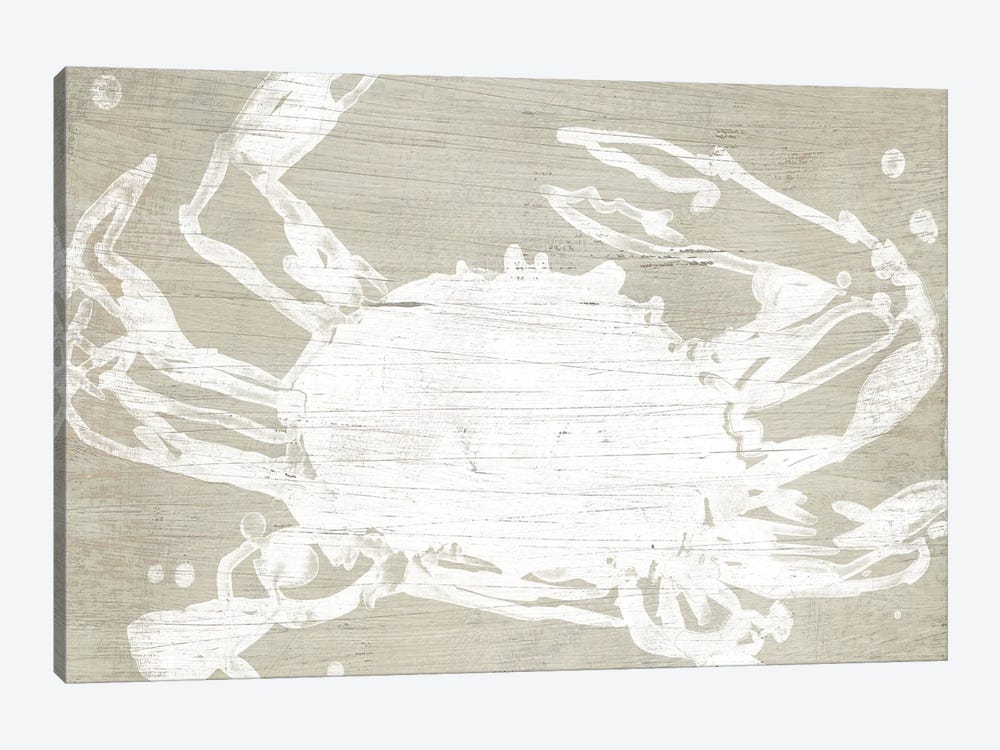 Weathered Crab II by June Erica Vess 1-piece Canvas Wall Art