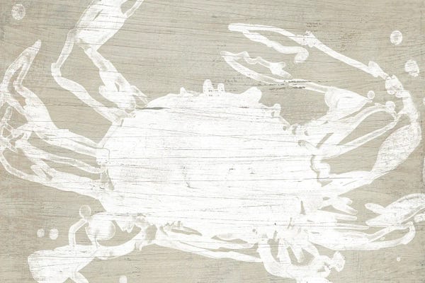 Crabs: Weathered Crab II by June Erica Vess