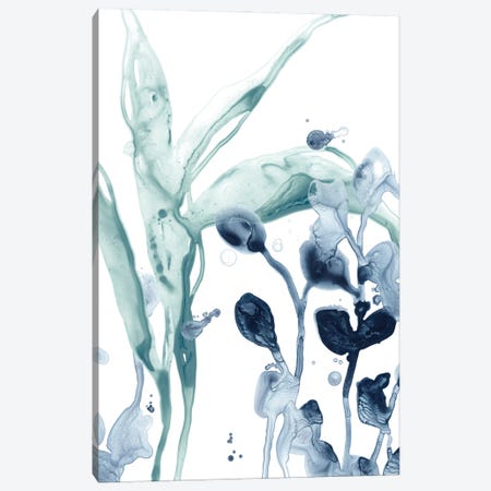 Blue Kelp I Canvas Print #JEV3055} by June Erica Vess Canvas Art