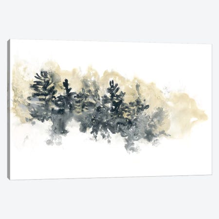 Misty Hillside I Canvas Print #JEV305} by June Erica Vess Canvas Art