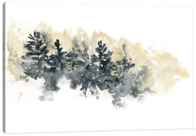 Misty Hillside I Canvas Art Print - Evergreen Tree Art