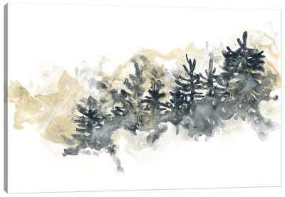 Misty Hillside II Canvas Art Print - Evergreen Tree Art