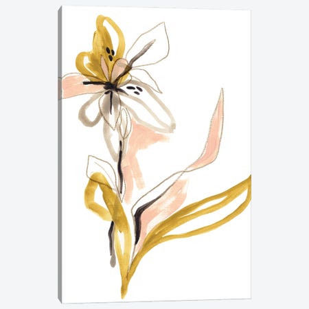 Liminal Floral III Canvas Print #JEV3080} by June Erica Vess Canvas Art
