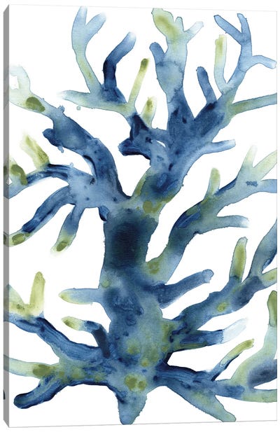 Liquid Coral III Canvas Art Print - Minimalist Bathroom Art